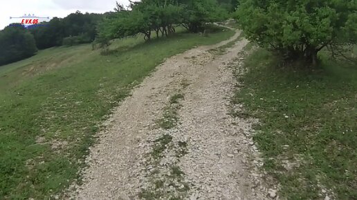 Эндуро покатушки, заехал в лес один а там кабаны все перерыли, БЫЛО СТРАШНО!!