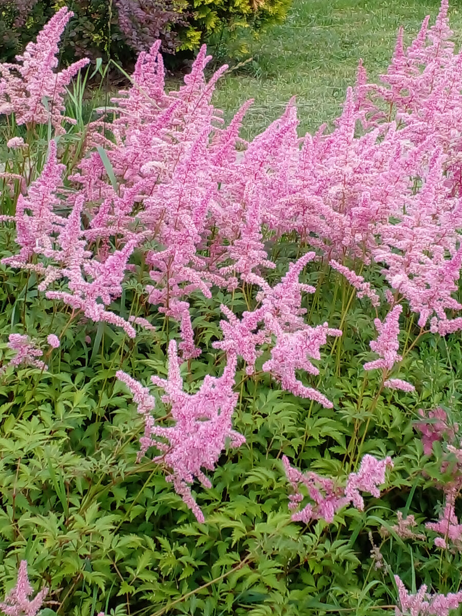 личное фото Смирновой Н.Е.