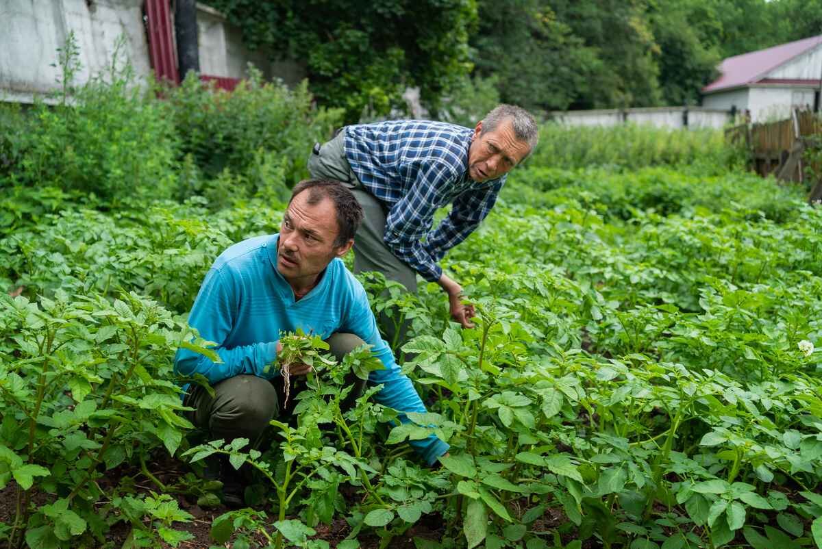 Спиной не поворачиваться. Что изменилось в жизни людей в ПНИ, когда у них  появились дача и теплицы? | Милосердие.ru | Дзен