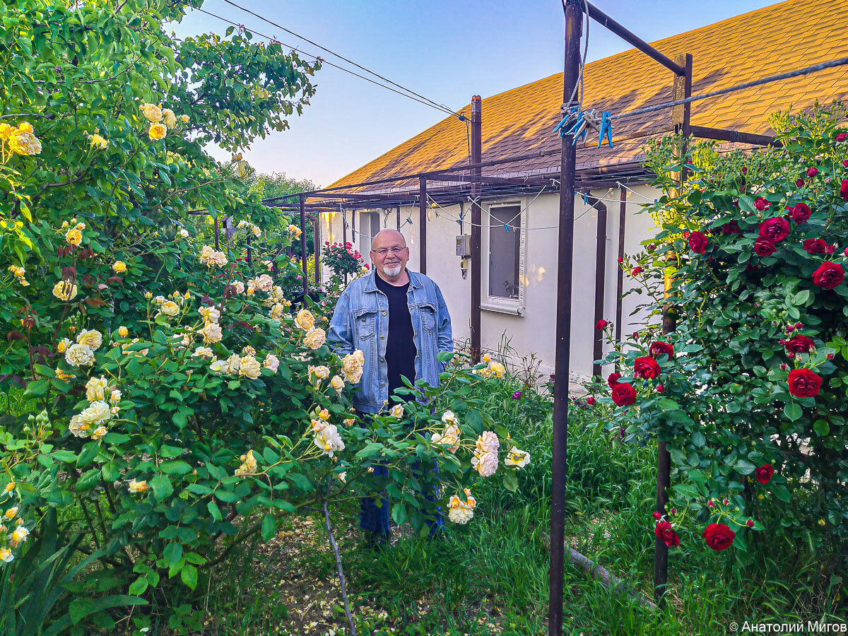 Наш сад, не попадающий под схемы. Слава Богу, мы слишком безалаберны, чтобы быть правильными. Или неправильными. Мы это просто мы.
