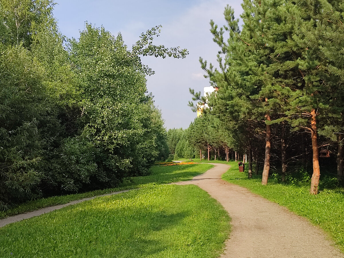 Тропинки в парке