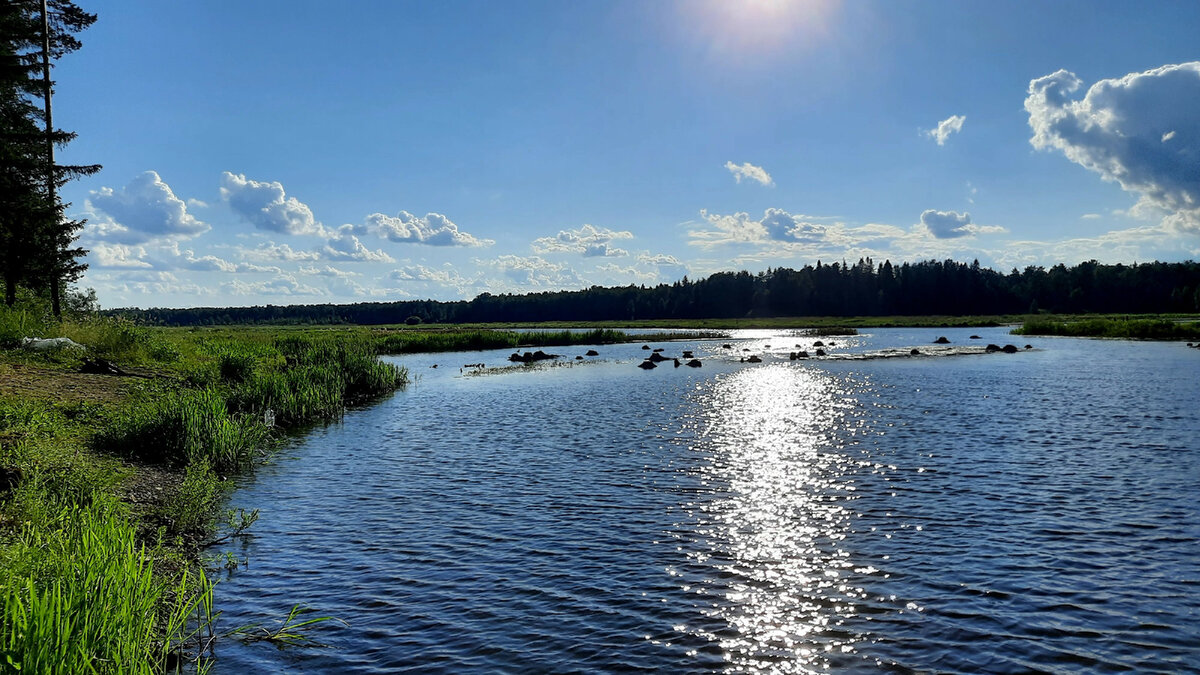 Водоем 5