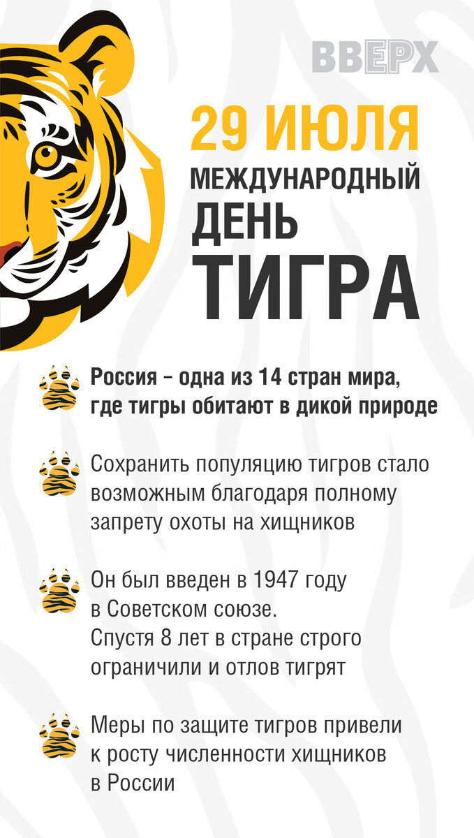 Международный день тигра презентация