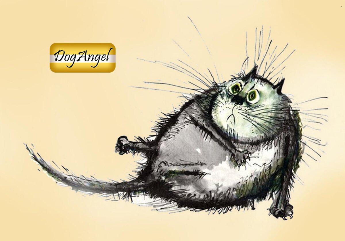 Основа для картинки позаимствована с сайта 2-kartinki.ru/kartinki/прикольные-рисунки-котов