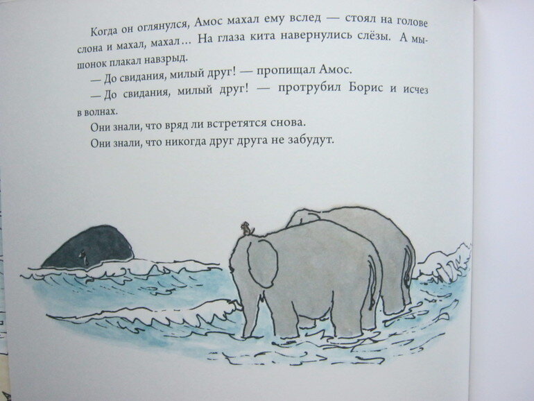 Стих рыба кит. На далёком севере бродит рыба кит. На далёком севере бродит рыба кит текст. Текст песни рыба кит. Рыба кит стих.