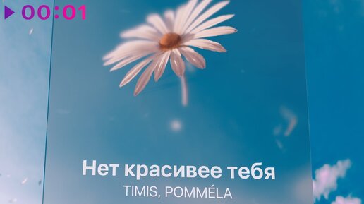 TIMIS, POMMÉLA - Нет красивее тебя | Official Audio | 2023