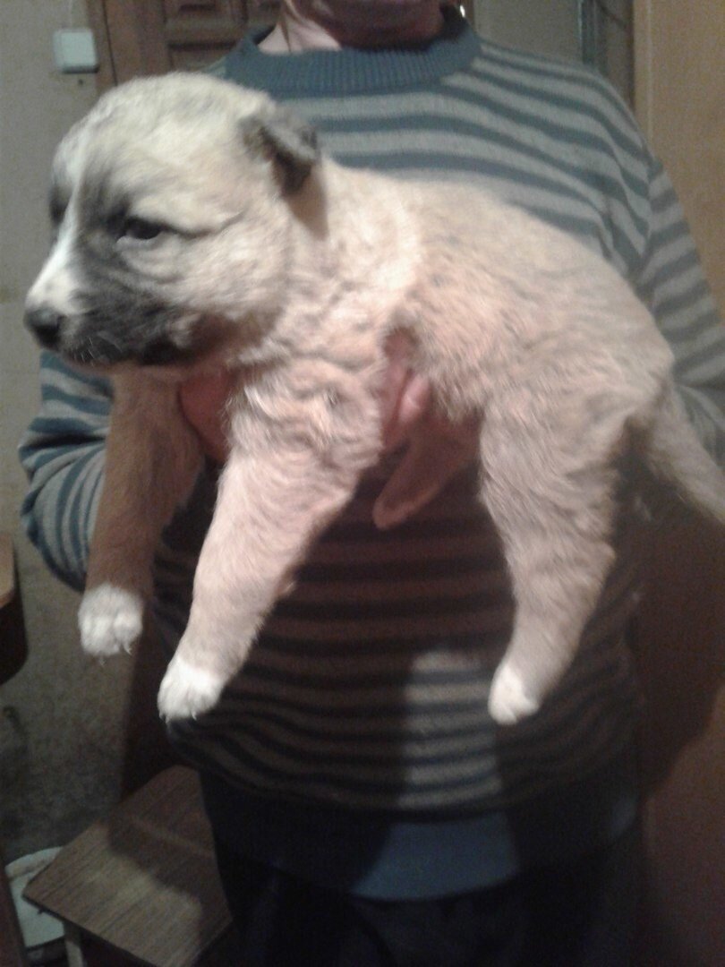 Лора в детстве