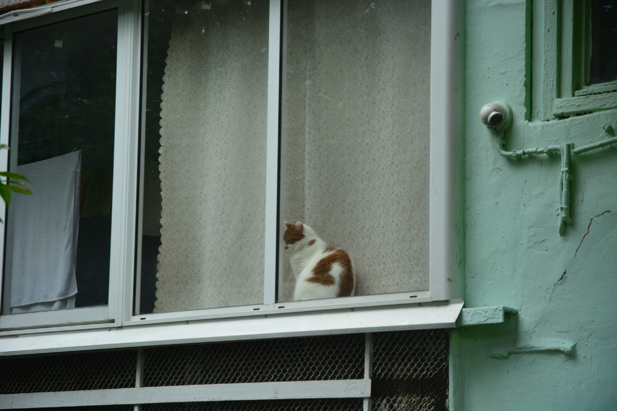 Раскрас интересный)