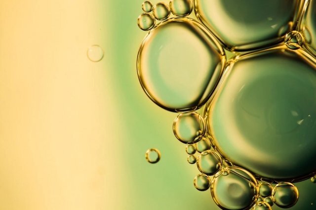    Что такое жирберг и чем он опасен для людей?