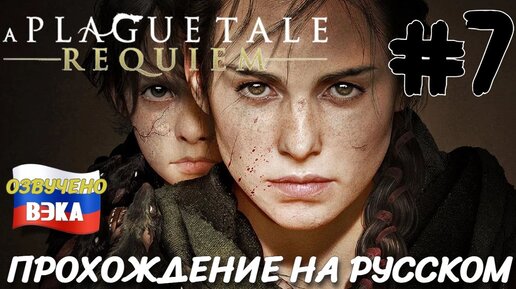 A Plague Tale Requiem ПРОХОЖДЕНИЕ С РУССКОЙ ОЗВУЧКОЙ Студия ВЭКА #7