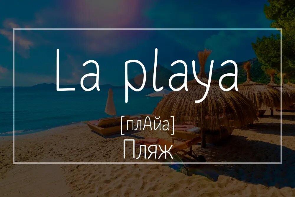 Карточка автора.