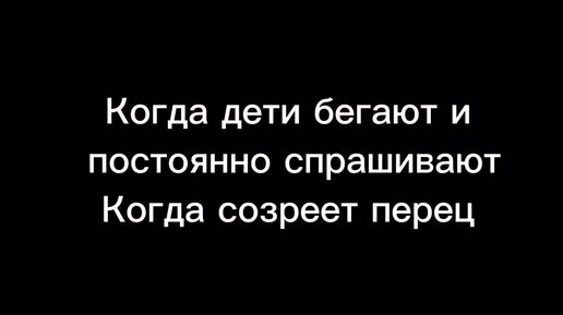 САДОВОД ИЗ МЕГАПОЛИСА | Нуу правда, уже ели держусь | Дзен