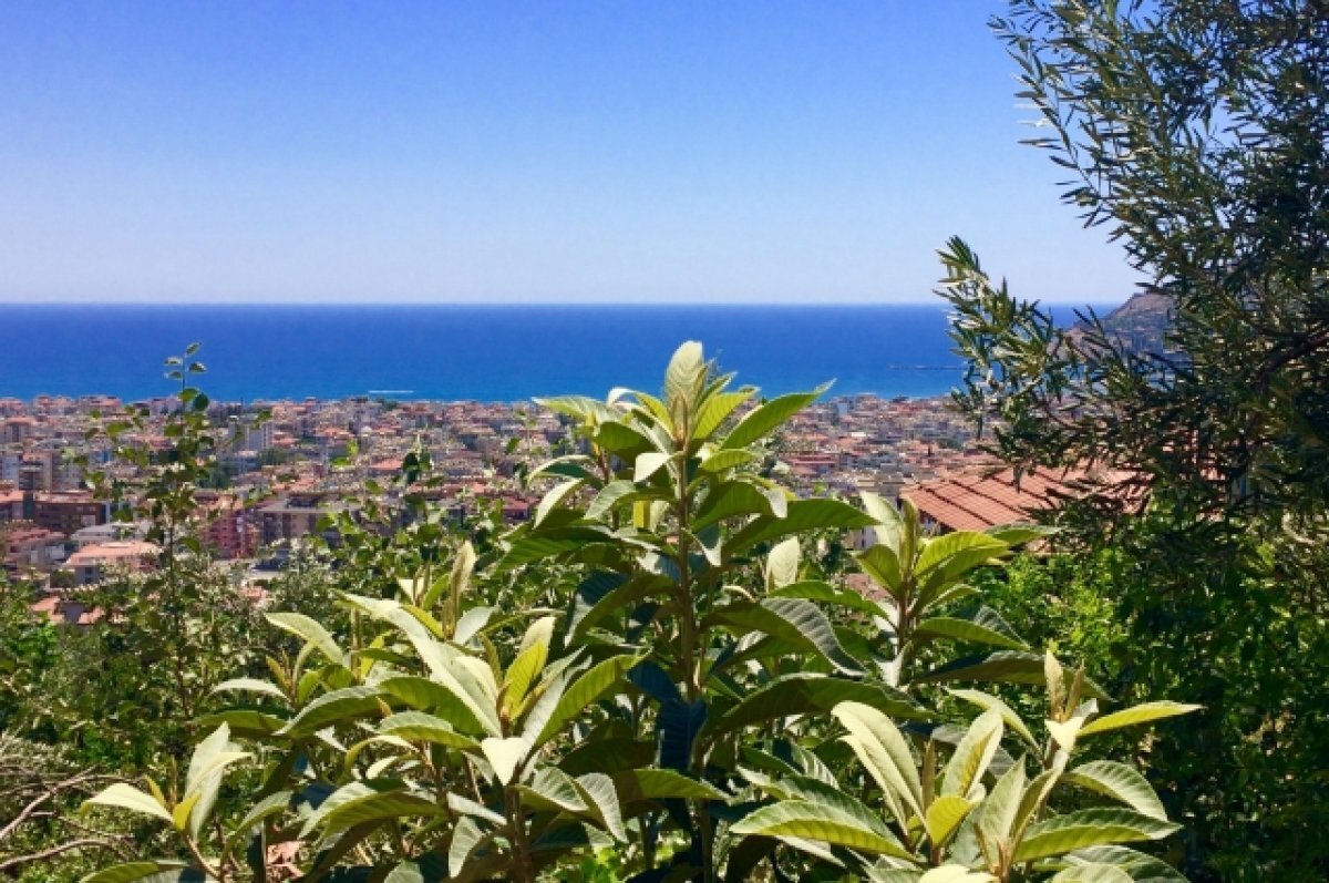    В туротрасли не ожидают снижения цен на путевки в Турцию в бархатный сезон