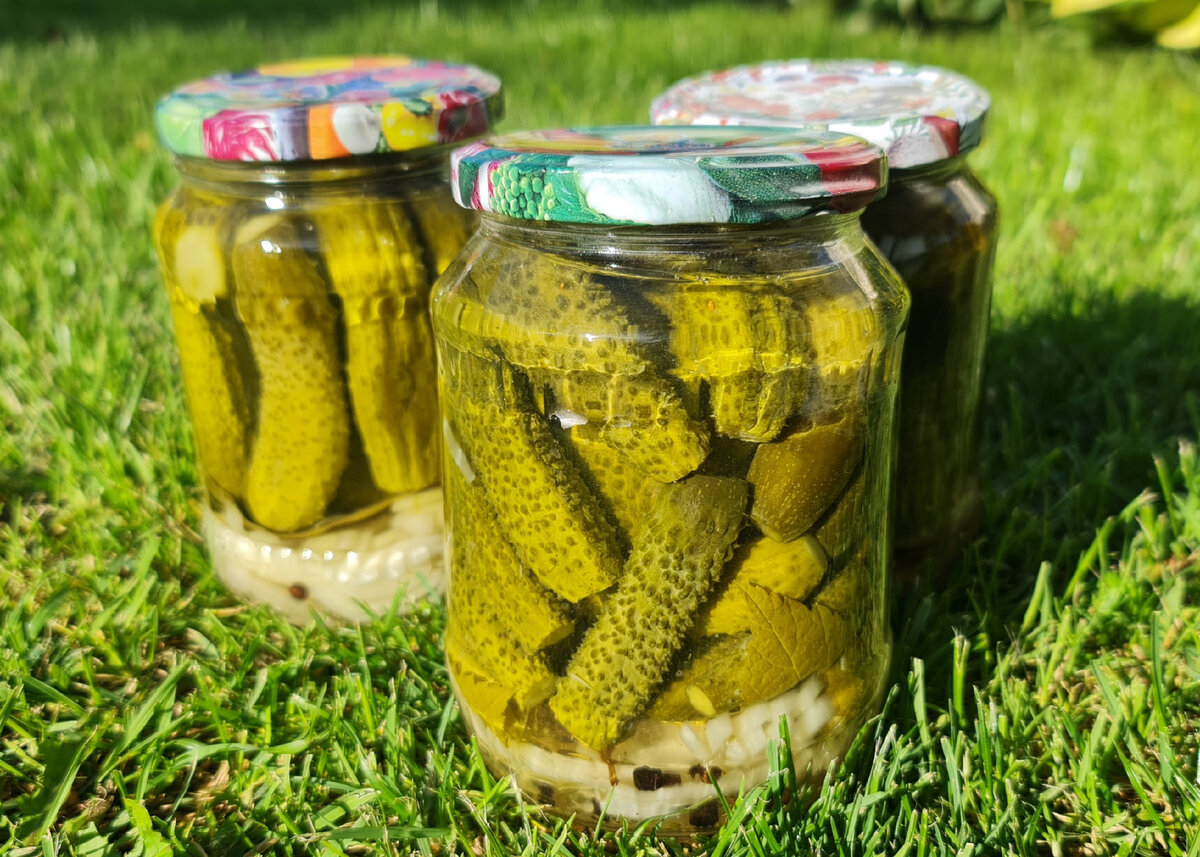 Муж ест эти огурцы на завтрак, обед и ужин. Рецепт самых вкусных ...
