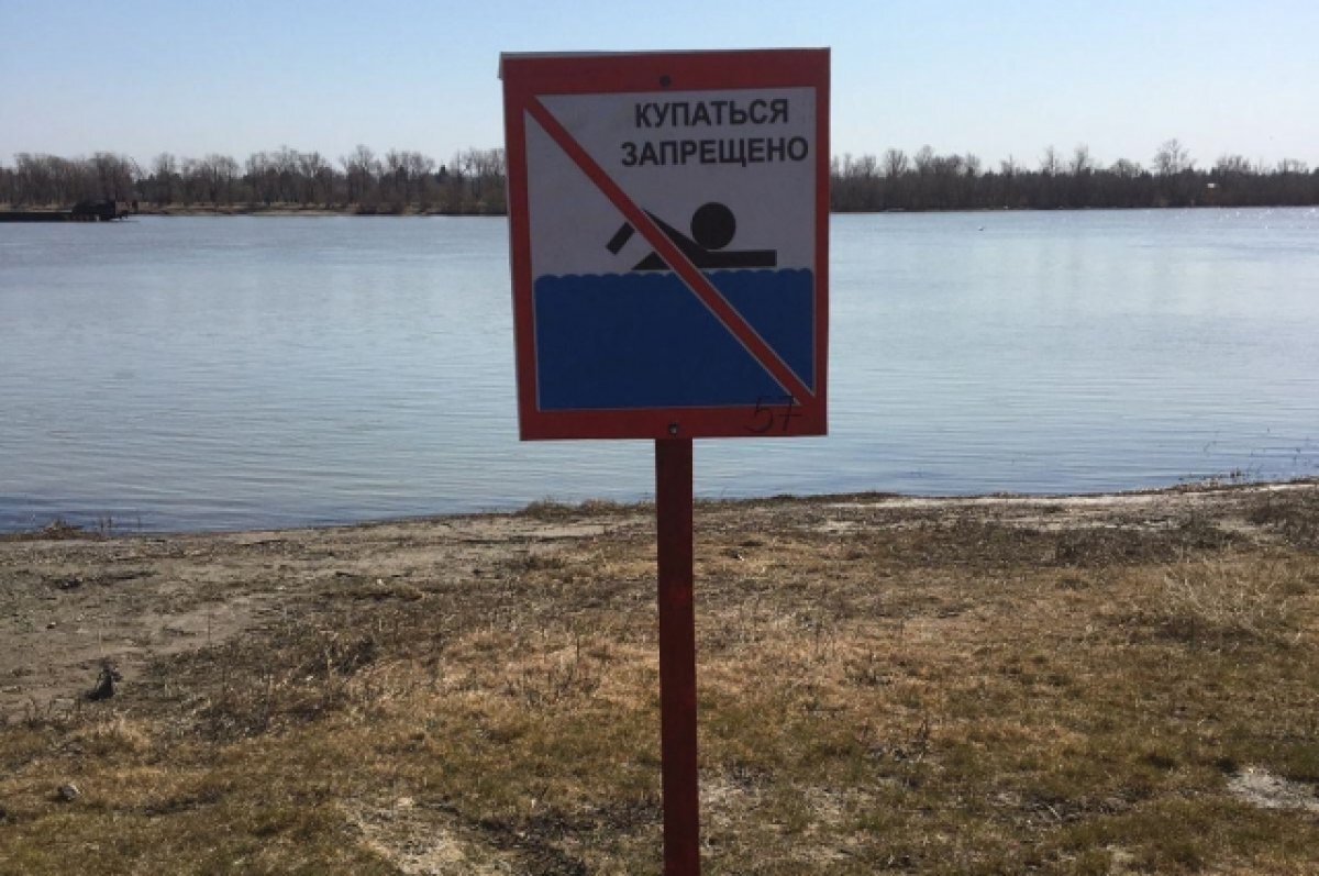    Роспотребнадзор нашёл паразитов на омских пляжах