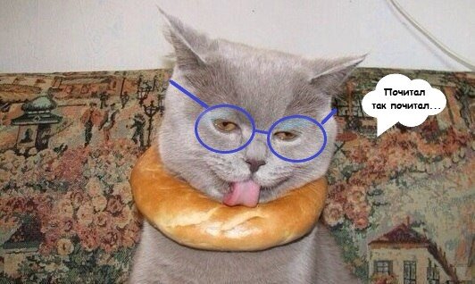 Фотография взята на свободных полях Интернета, добавления - от автора статьи.