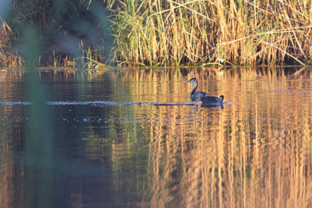 Свет и краски предосеннего утра