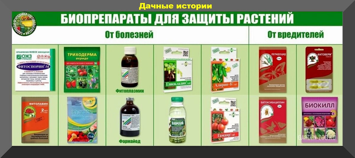 https://vk.com/photo-159774511_457261832