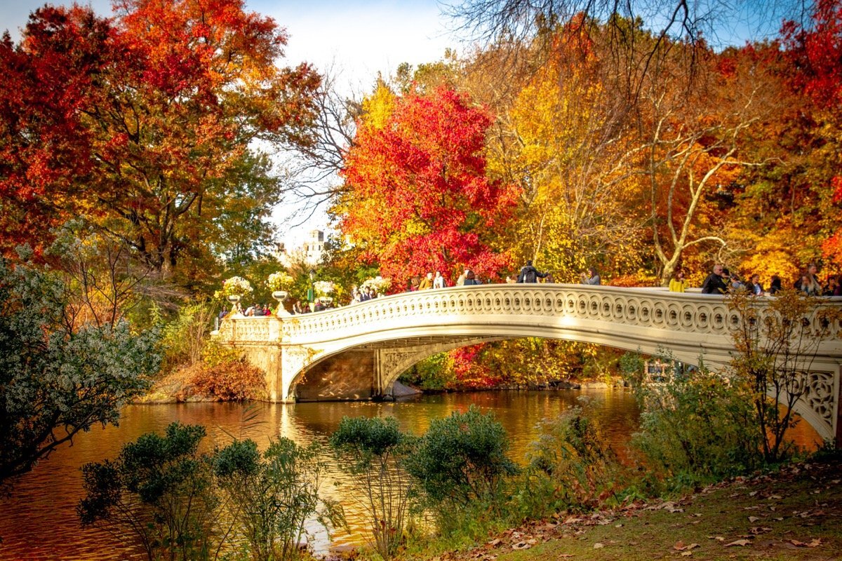 Осень фото красивые. Центральный парк Нью-Йорк мостик. Озеро осень мост Версаль. Осенний парк. Красивая осень.