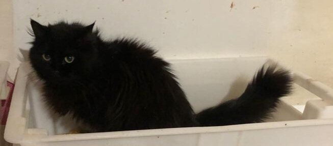 Фото автора. Ночка.