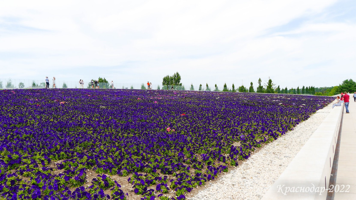 К вопросу о путешествиях