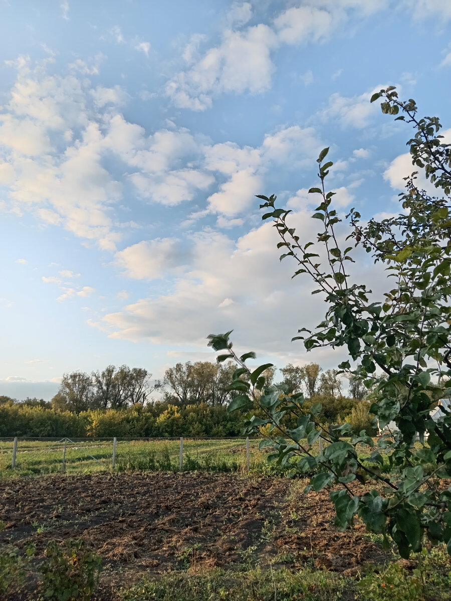 Осень она и такая, в убрано урожае и отдыхающей земле