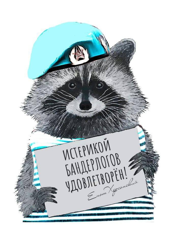 Мем с енотом 2025