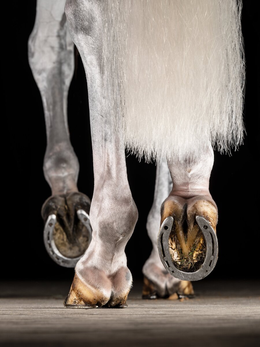 Фото из открытых источников.