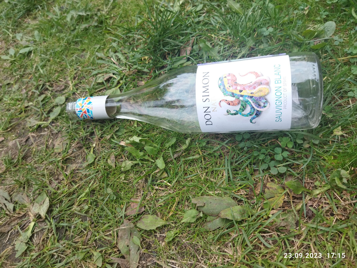 Был на даче с супругой, у друзей. Их утренняя бутылочка. Я не пью, жене за руль надо, домой меня везти