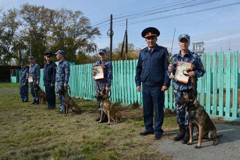 День пограничного кинолога. Кинолог пограничник. Медаль Пограничная кинология. День пограничной кинологии картинки.