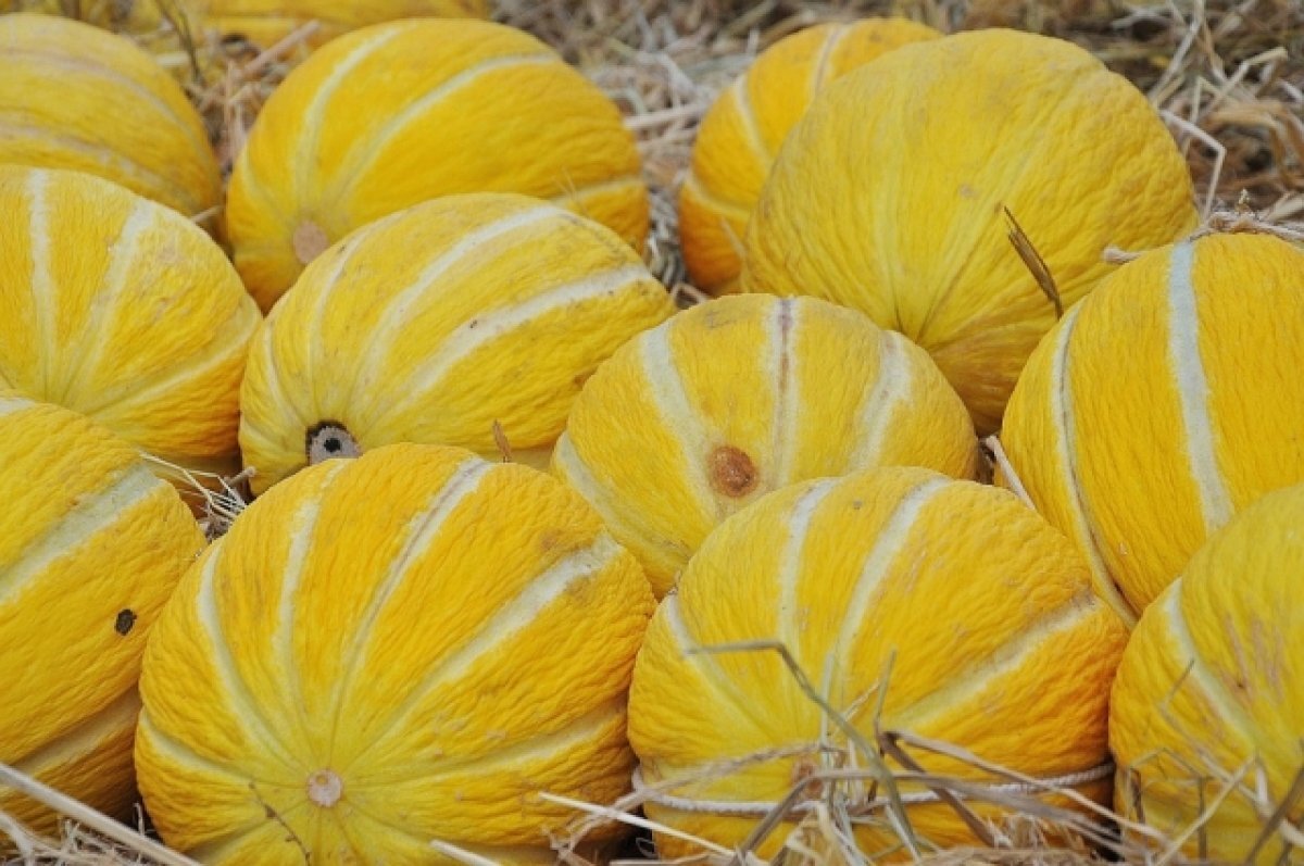    Импорт растительной продукции в Ульяновскую область вырос в 2,5 раза