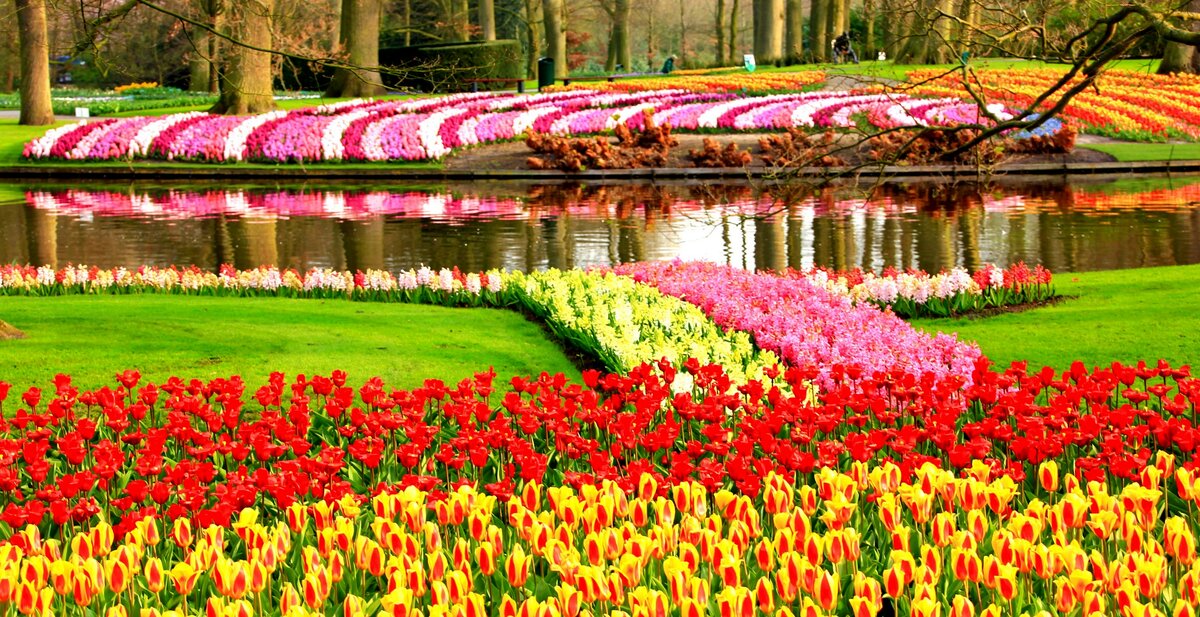 Keukenhof Gardens Нидерланды