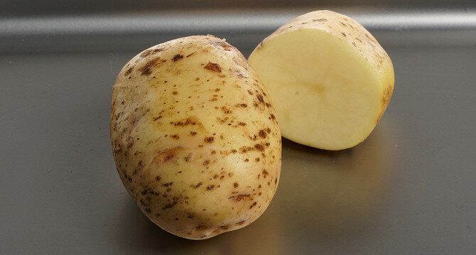 Лучшие сорта картофеля для фри