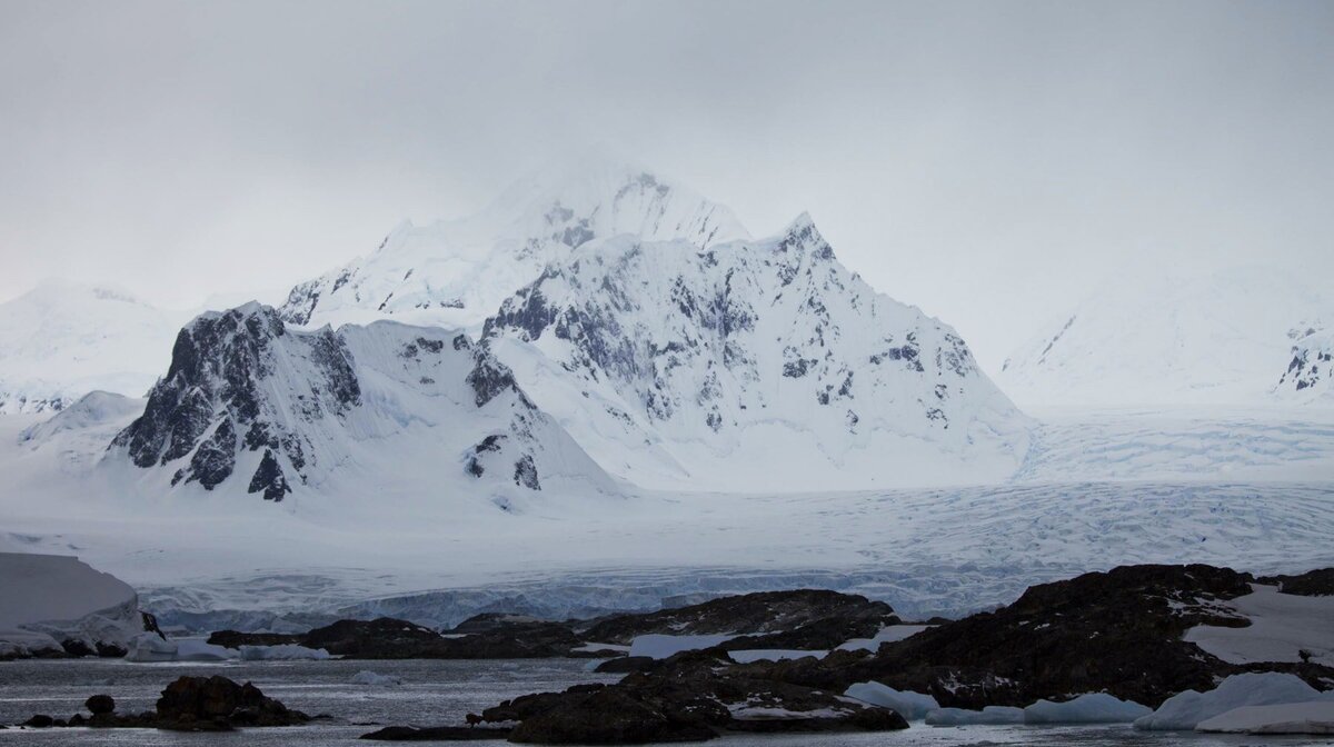 Фото: © GLOBAL LOOK press