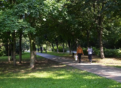   Рязанская городская дума продлила мораторий на уменьшение границ городских зеленых зон до 1 августа 2018 года. Такое решение было принято на заседании гордумы во вторник, 26 декабря.