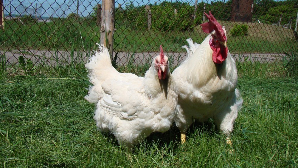 Устойчивость к различным погодным условиям