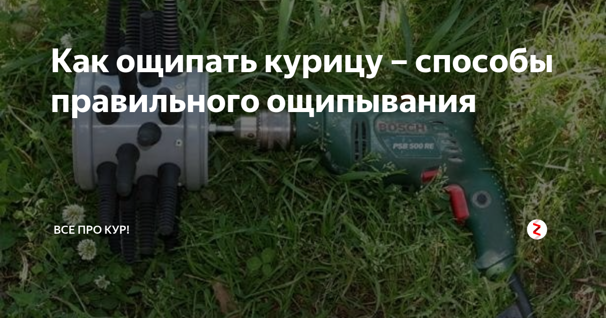 Как ощипать курицу вручную быстро