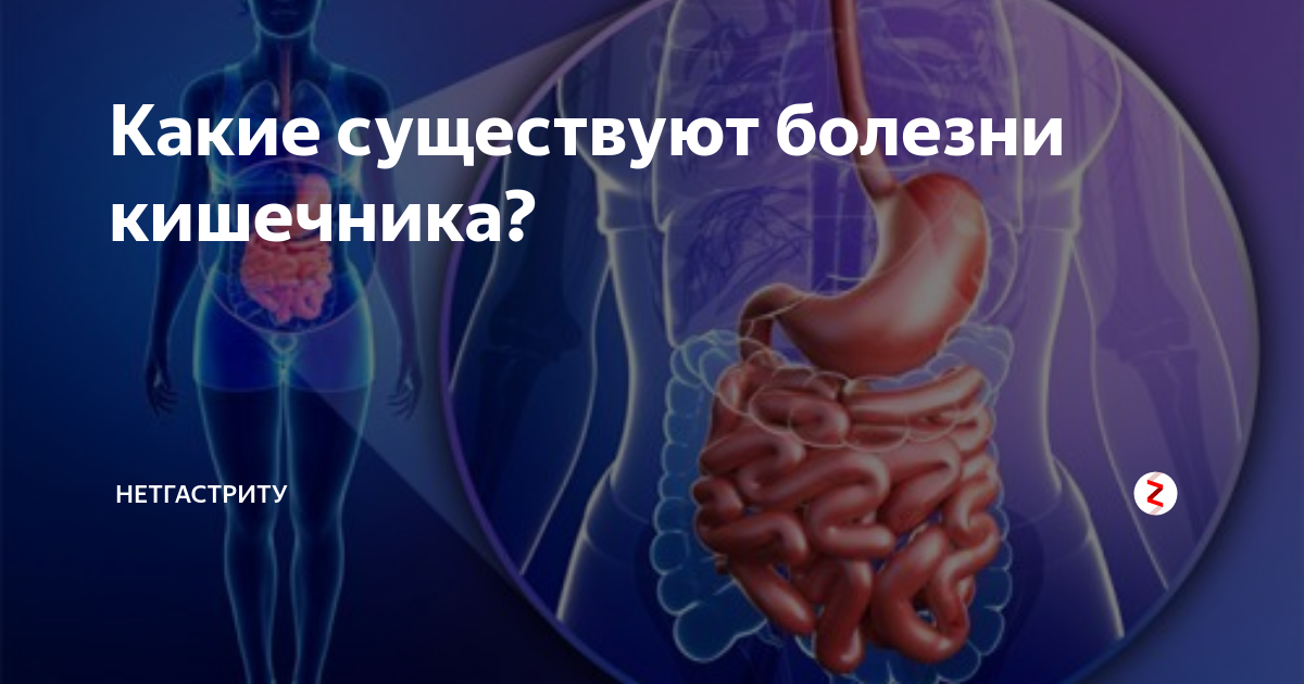 Прием врача гастроэнтеролога. К какому врачу идти с проблемами кишечника. К какому врачу идти с проблемами кишечника. Мезаденит тонкого кишечника. Осмотр врача.