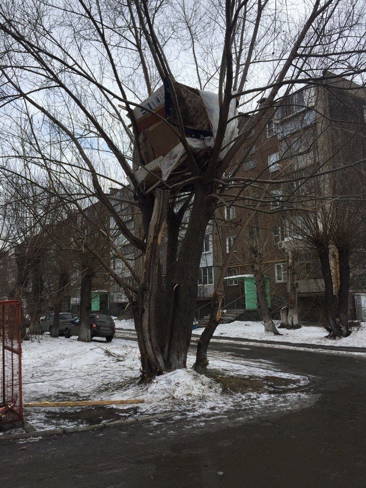  Это зимняя резиденция бомжа или штаб пионеров, узнать не удалось. 
