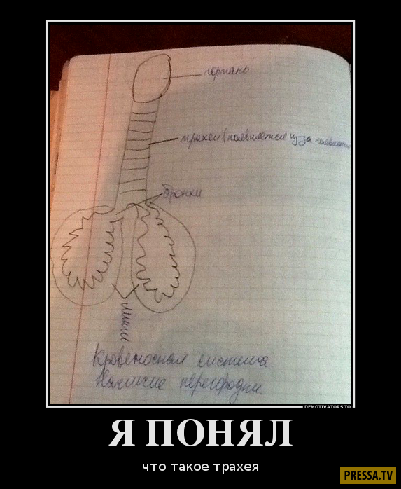 Не понял картинка смешная