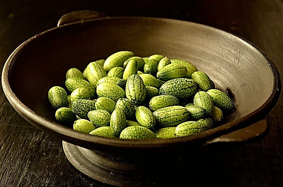 огурец миранда f1 6 шт. мелотрия колибри (мини-арбуз). мелотрия колибри (мини-арбуз). маленькие сорта огурцов. ангурия и мелотрия.