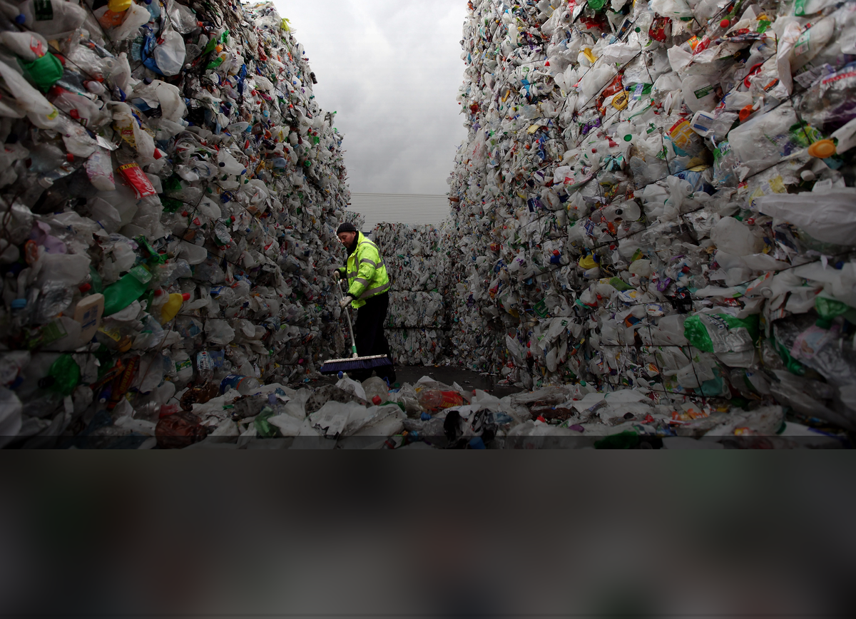 Фото из сети