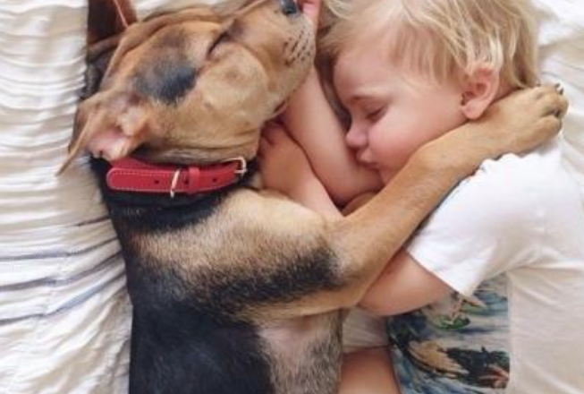 История друзей: мальчик попросил написать письмо собаке на небеса и ...