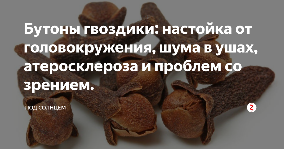 Пить отвар гвоздики. Настойка гвоздики. Настойки от шума в ушах и голове. Настойка из гвоздики. Настойка гвоздики и её применение и противопоказания.