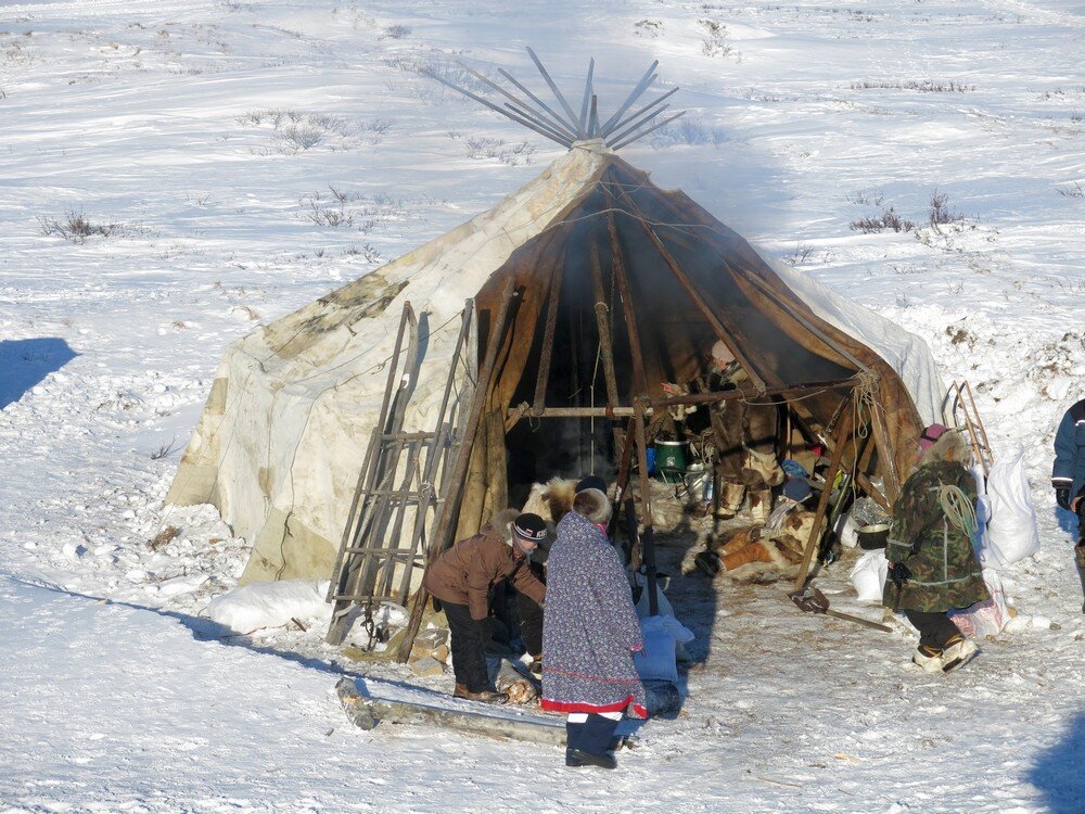 Яранга в тундре