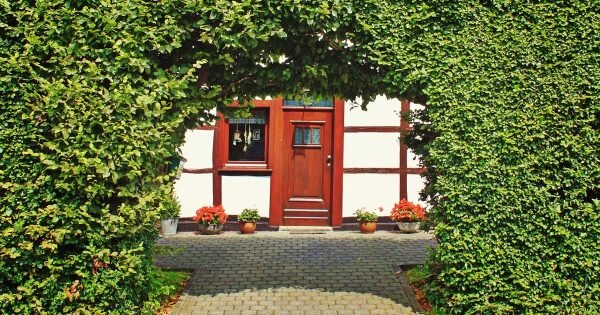 фото: pixabay.com