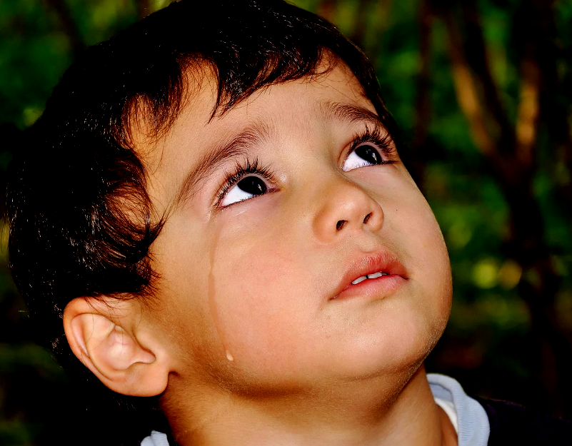 Фотография с сайта shkolazhizni.ru