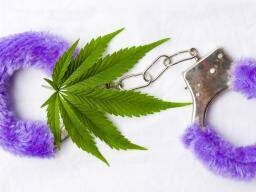 Марихуана может увеличить ваш секс-драйвИсследователи связали регулярное использование марихуаны с большим количеством секса.ПРОЧИТАЙ СЕЙЧАС 