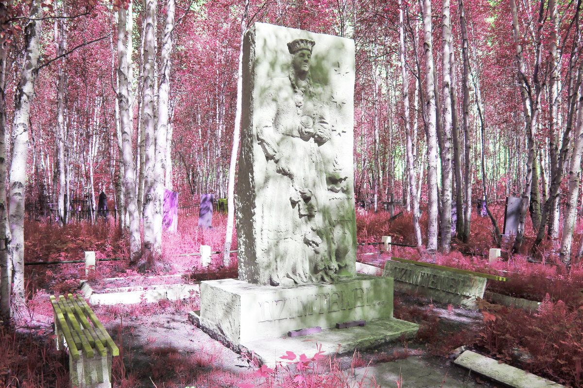 Памятник Дзимтеней. Фото Д. Куропаткина