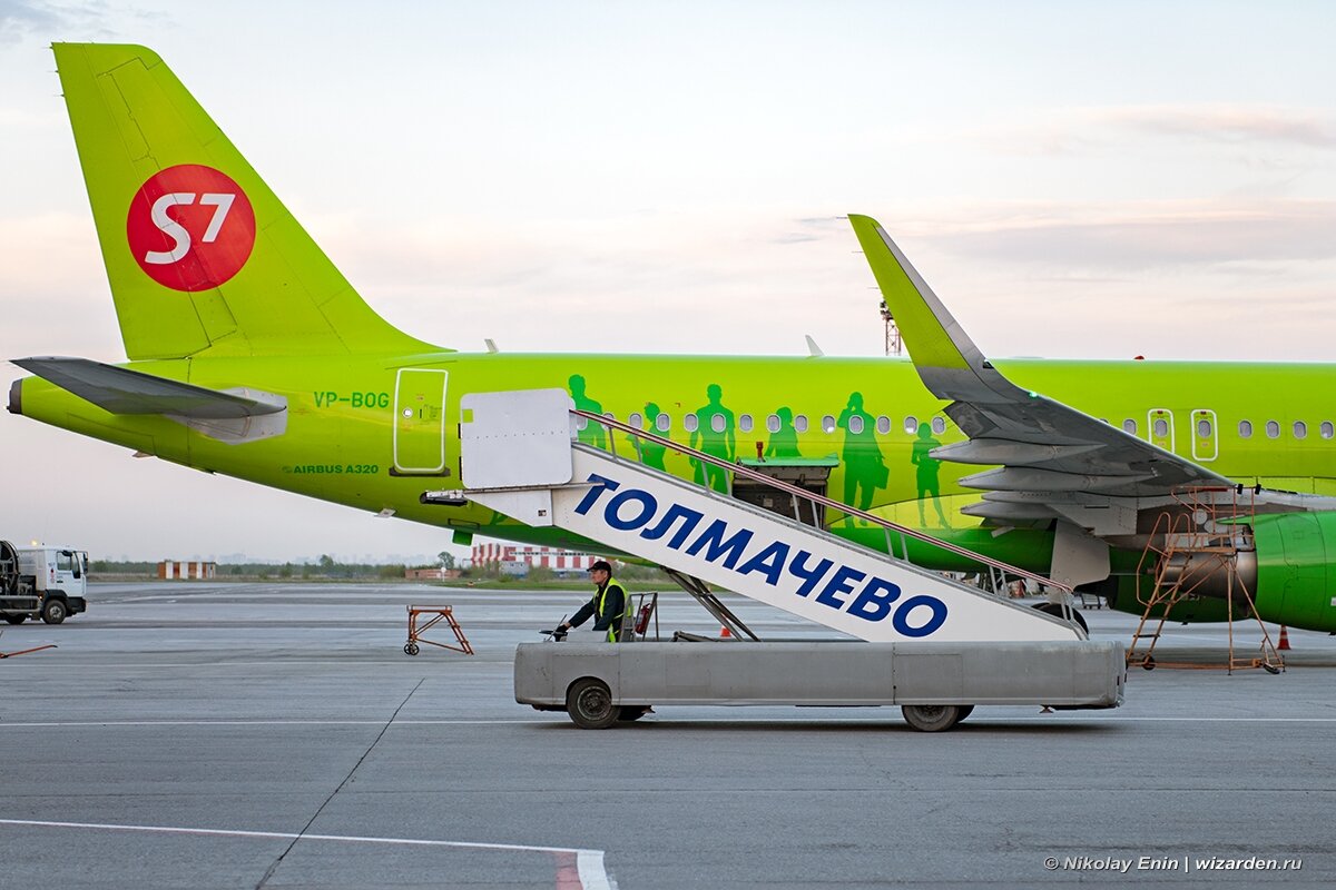 Аэропорт толмачёво s7 Airlines. Аэропорт Толмачево s7. S7 Airlines аэропорт Новосибирск. Самолет s7 аэропорт Толмачево.